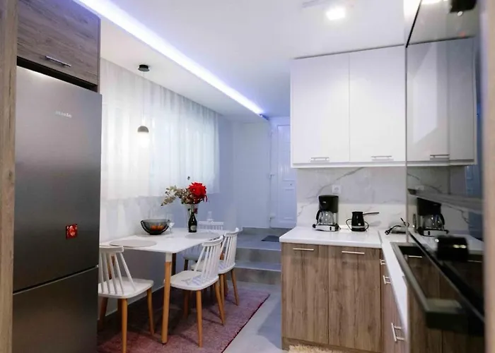 Suzana's Urban Apartament